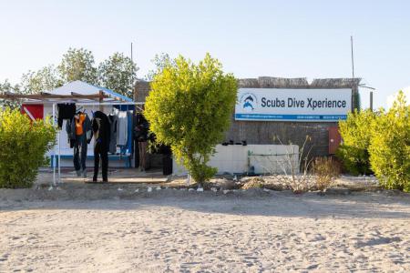 Bliss Nada Beach Resort 4⭐️ інформація про готель та пошук турів в готелі Bliss Nada Beach Resort 4⭐️ в Єгипеті