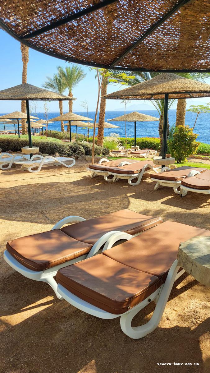 Grand Rotana Resort & Spa 5⭐️ інформація про готель та пошук турів в готелі Grand Rotana Resort & Spa 5⭐️ в Єгипеті