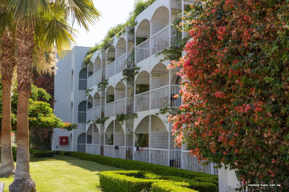 Desert Rose Resort 5⭐️ інформація про готель та пошук турів в готелі Desert Rose Resort 5⭐️ в Єгипеті