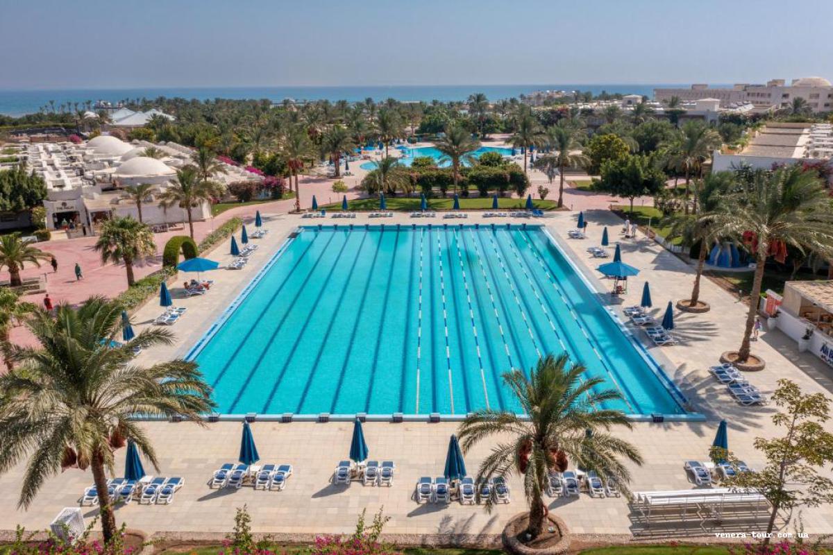 Desert Rose Resort 5⭐️ інформація про готель та пошук турів в готелі Desert Rose Resort 5⭐️ в Єгипеті
