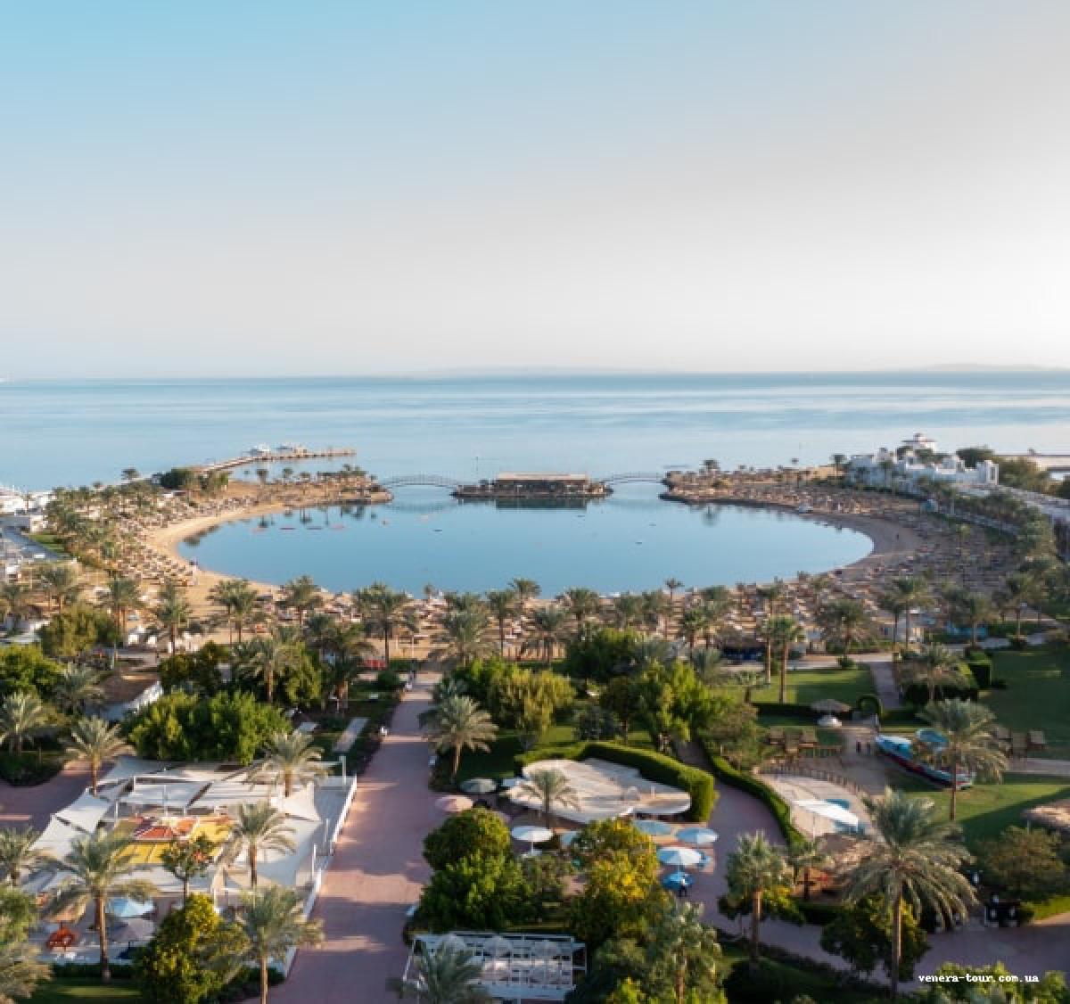 Desert Rose Resort 5⭐️ інформація про готель та пошук турів в готелі Desert Rose Resort 5⭐️ в Єгипеті