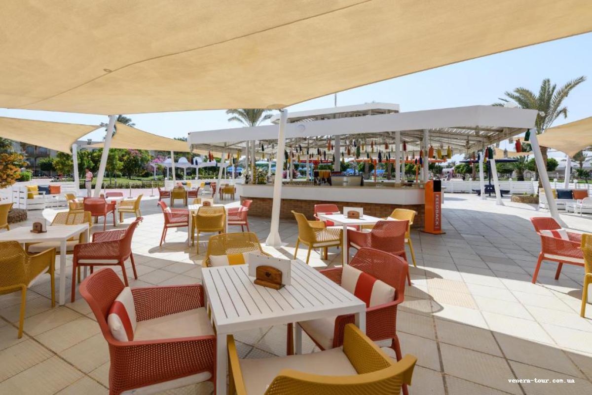 Desert Rose Resort 5⭐️ інформація про готель та пошук турів в готелі Desert Rose Resort 5⭐️ в Єгипеті