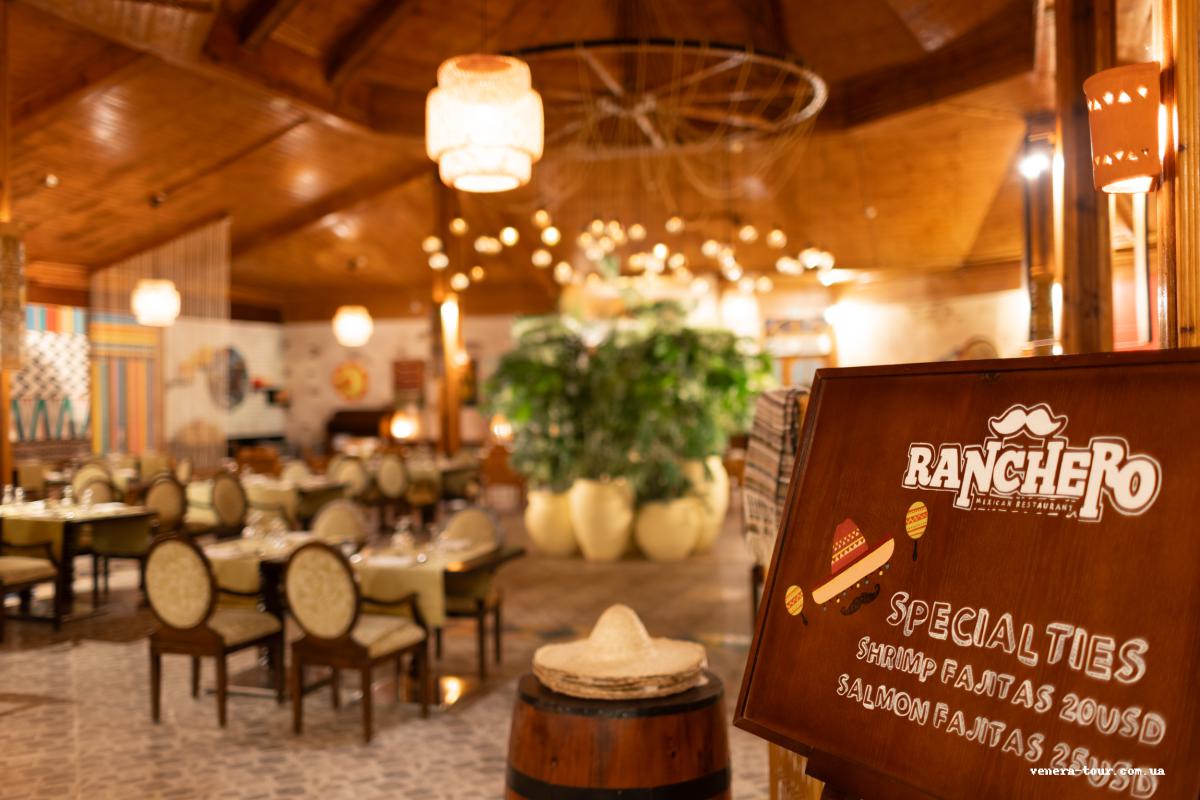 Desert Rose Resort 5⭐️ інформація про готель та пошук турів в готелі Desert Rose Resort 5⭐️ в Єгипеті