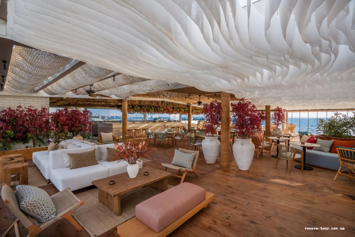 Desert Rose Resort 5⭐️ інформація про готель та пошук турів в готелі Desert Rose Resort 5⭐️ в Єгипеті