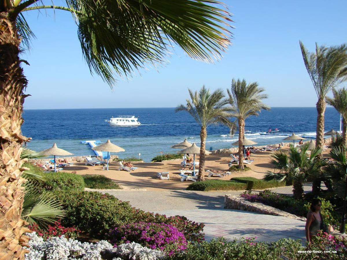 Queen Sharm Resort 4⭐️ інформація про готель та пошук турів в готелі Queen Sharm Resort 4⭐️ в Єгипеті