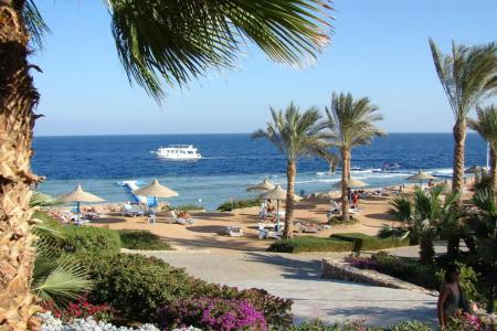 Queen Sharm Resort 4⭐️ інформація про готель та пошук турів в готелі Queen Sharm Resort 4⭐️ в Єгипеті
