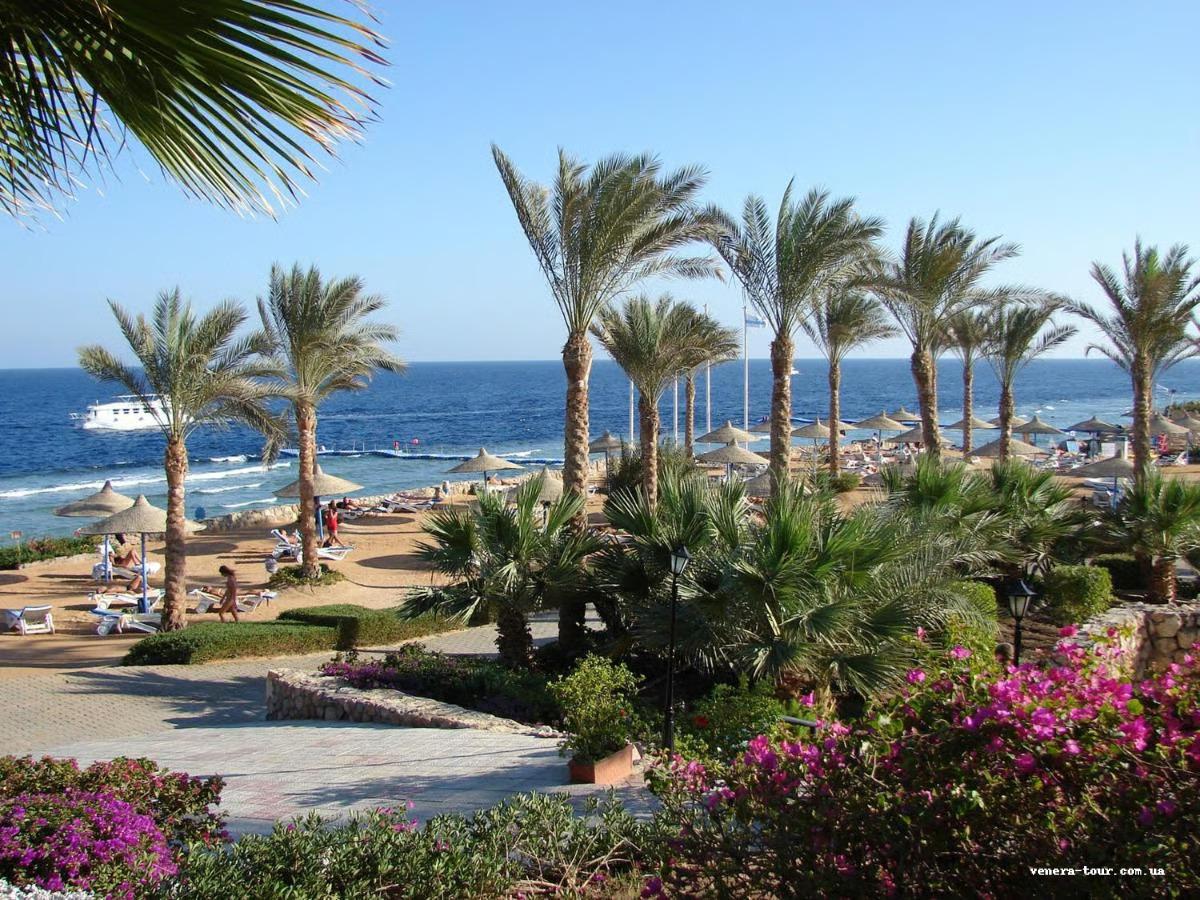 Queen Sharm Resort 4⭐️ інформація про готель та пошук турів в готелі Queen Sharm Resort 4⭐️ в Єгипеті