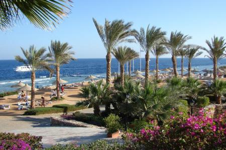 Queen Sharm Resort 4⭐️ інформація про готель та пошук турів в готелі Queen Sharm Resort 4⭐️ в Єгипеті