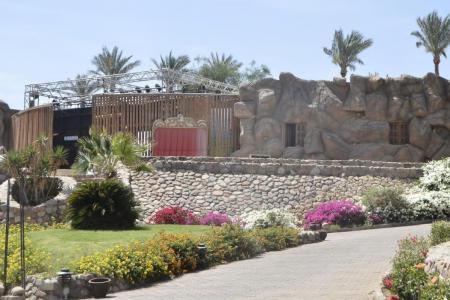 Queen Sharm Resort 4⭐️ інформація про готель та пошук турів в готелі Queen Sharm Resort 4⭐️ в Єгипеті