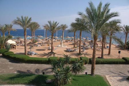 Queen Sharm Resort 4⭐️ інформація про готель та пошук турів в готелі Queen Sharm Resort 4⭐️ в Єгипеті