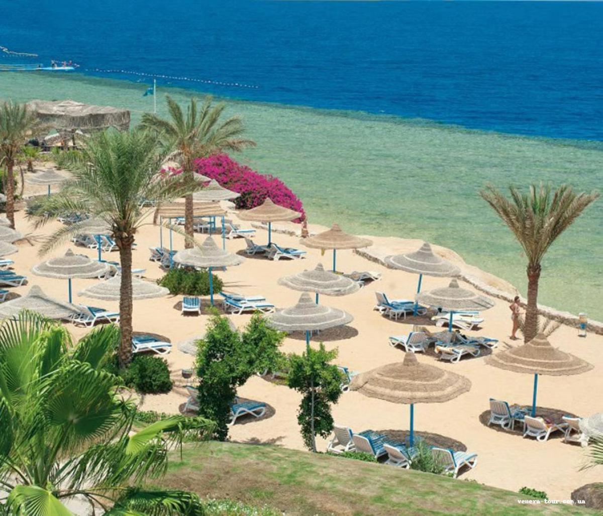 Queen Sharm Resort 4⭐️ інформація про готель та пошук турів в готелі Queen Sharm Resort 4⭐️ в Єгипеті
