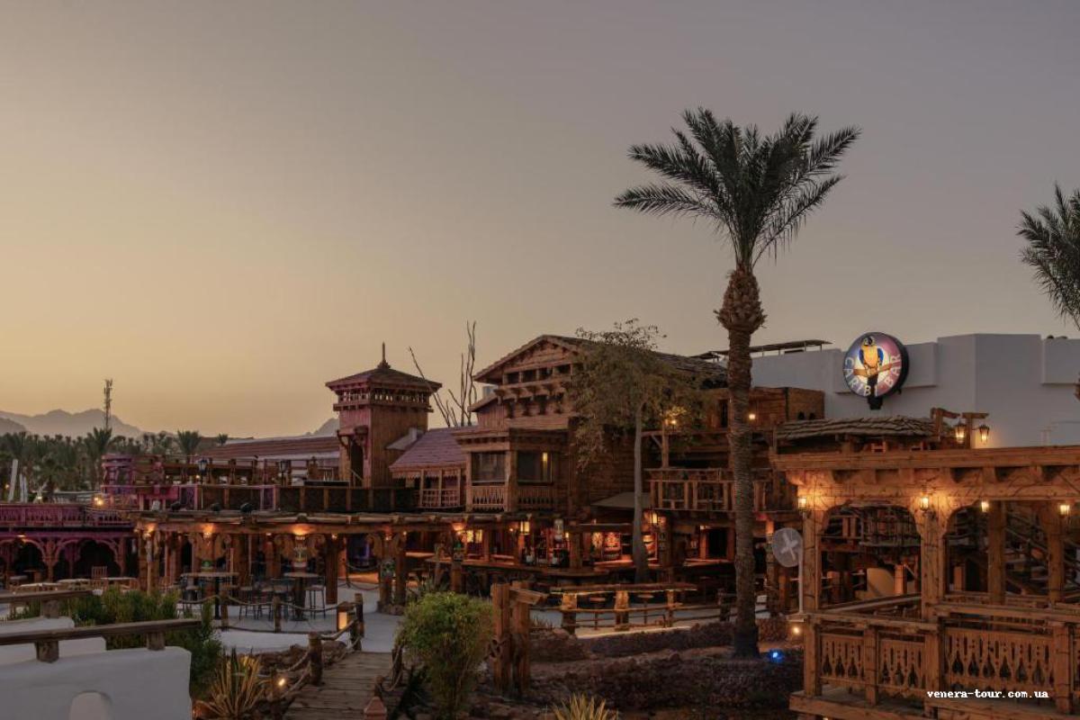 Jaz Sharm Dreams (Ex. Sharm Dreams Resort) 5⭐️ інформація про готель та пошук турів в готелі Jaz Sharm Dreams (Ex. Sharm Dreams Resort) 5⭐️ в Єгипеті