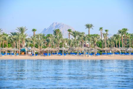 Jaz Sharm Dreams (Ex. Sharm Dreams Resort) 5⭐️ інформація про готель та пошук турів в готелі Jaz Sharm Dreams (Ex. Sharm Dreams Resort) 5⭐️ в Єгипеті