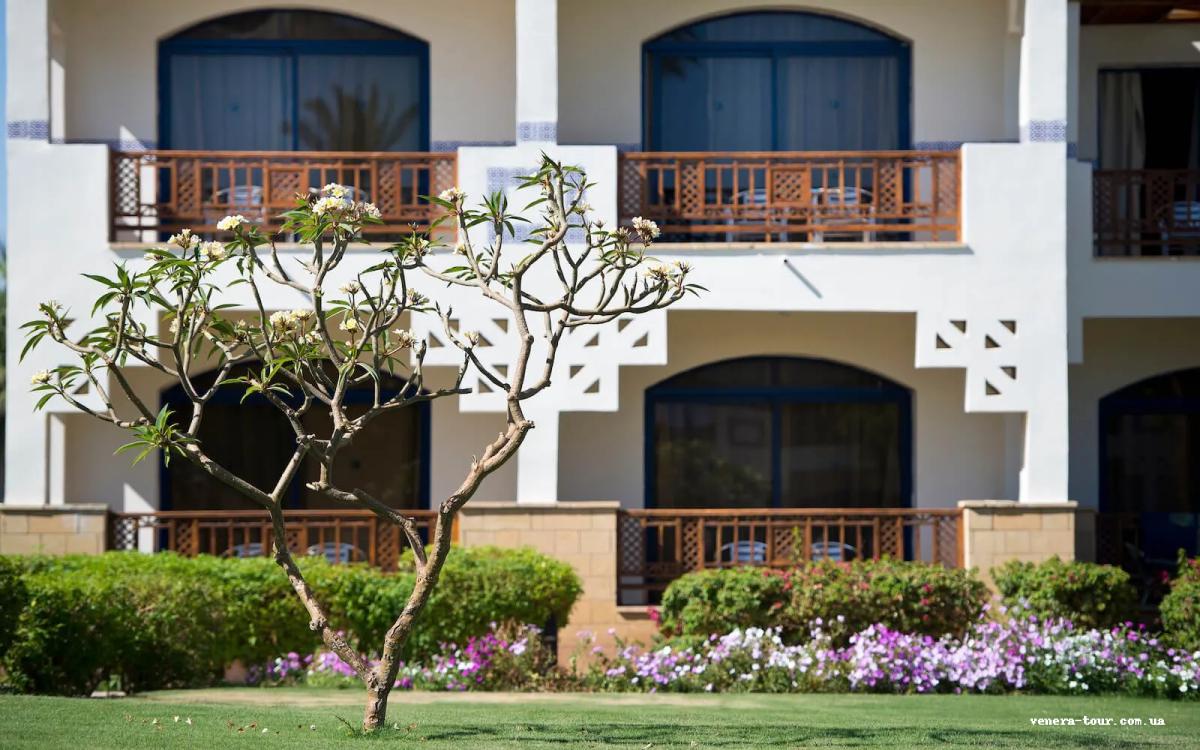 Amphoras Beach 5⭐️ інформація про готель та пошук турів в готелі Amphoras Beach 5⭐️ в Єгипеті