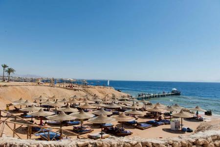 Amphoras Beach 5⭐️ інформація про готель та пошук турів в готелі Amphoras Beach 5⭐️ в Єгипеті