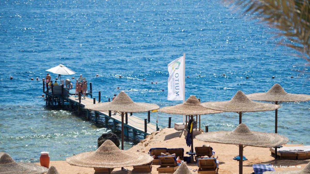 Amphoras Beach 5⭐️ інформація про готель та пошук турів в готелі Amphoras Beach 5⭐️ в Єгипеті