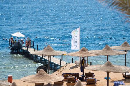Amphoras Beach 5⭐️ інформація про готель та пошук турів в готелі Amphoras Beach 5⭐️ в Єгипеті