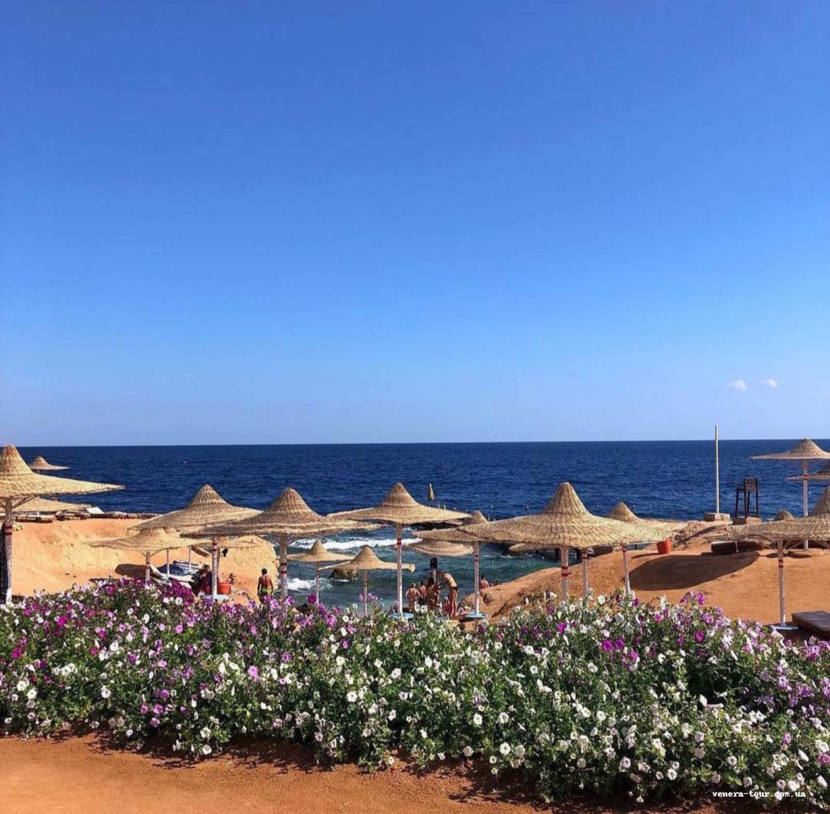 Amphoras Beach 5⭐️ інформація про готель та пошук турів в готелі Amphoras Beach 5⭐️ в Єгипеті
