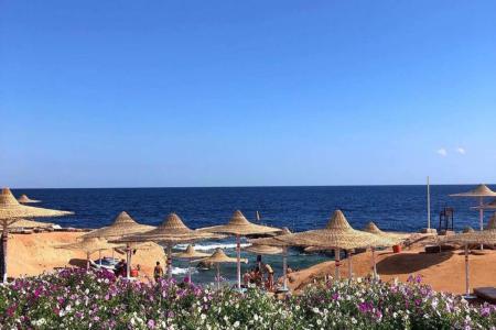 Amphoras Beach 5⭐️ інформація про готель та пошук турів в готелі Amphoras Beach 5⭐️ в Єгипеті