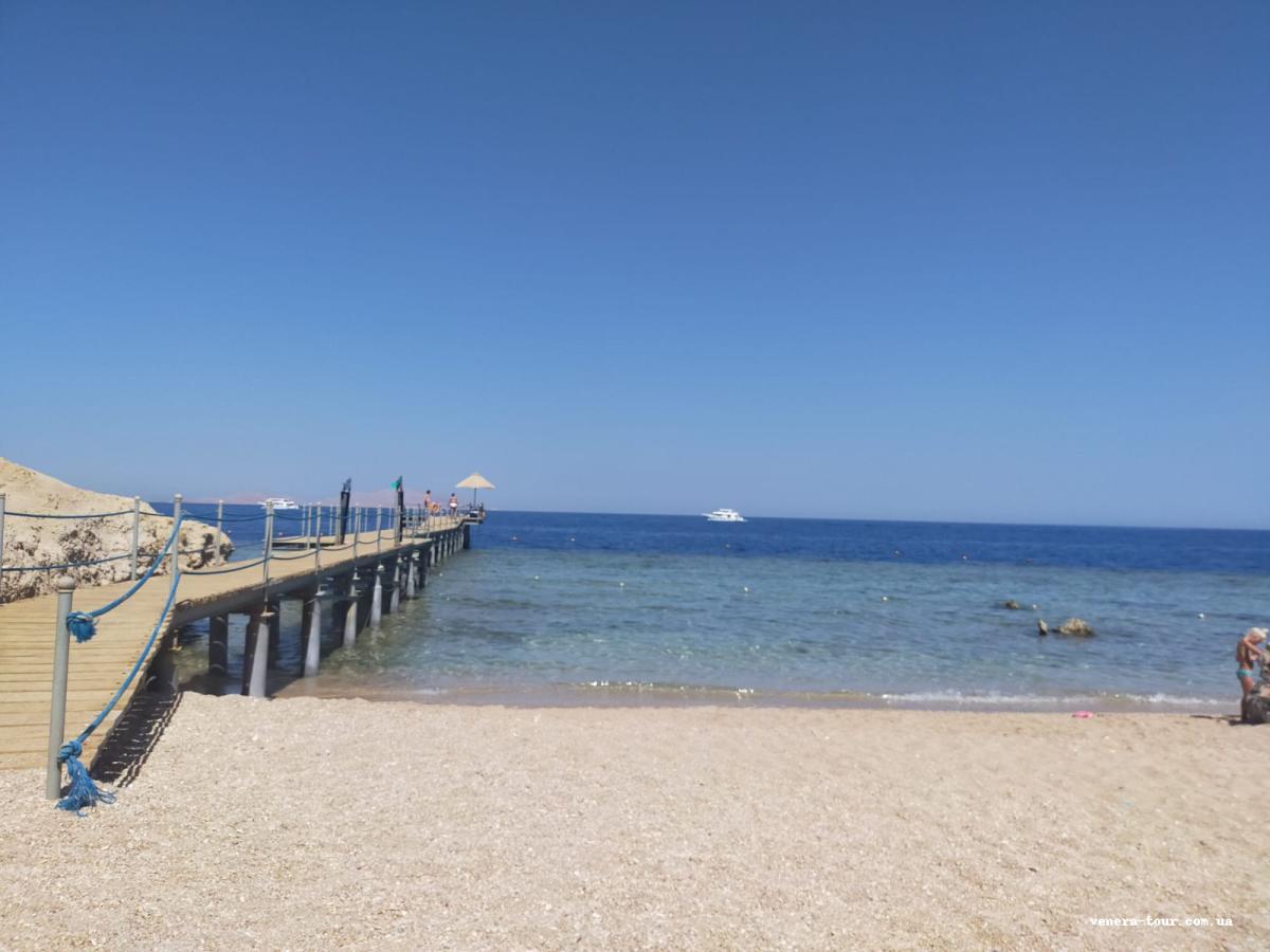 Amphoras Beach 5⭐️ інформація про готель та пошук турів в готелі Amphoras Beach 5⭐️ в Єгипеті