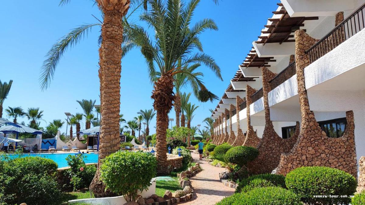 Turquoise Beach Hotel 4⭐️ інформація про готель та пошук турів в готелі Turquoise Beach Hotel 4⭐️ в Єгипеті