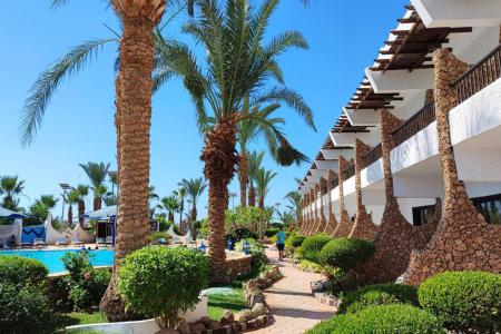 Turquoise Beach Hotel 4⭐️ інформація про готель та пошук турів в готелі Turquoise Beach Hotel 4⭐️ в Єгипеті