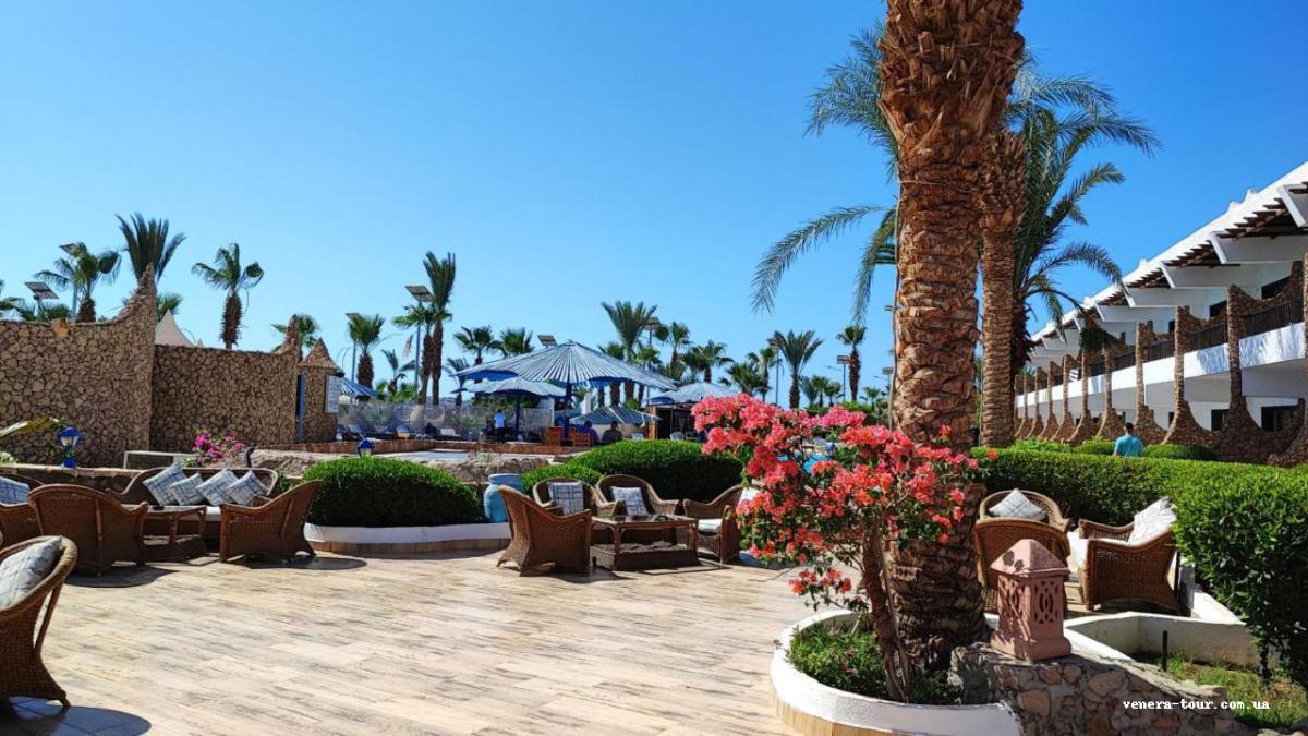 Turquoise Beach Hotel 4⭐️ інформація про готель та пошук турів в готелі Turquoise Beach Hotel 4⭐️ в Єгипеті