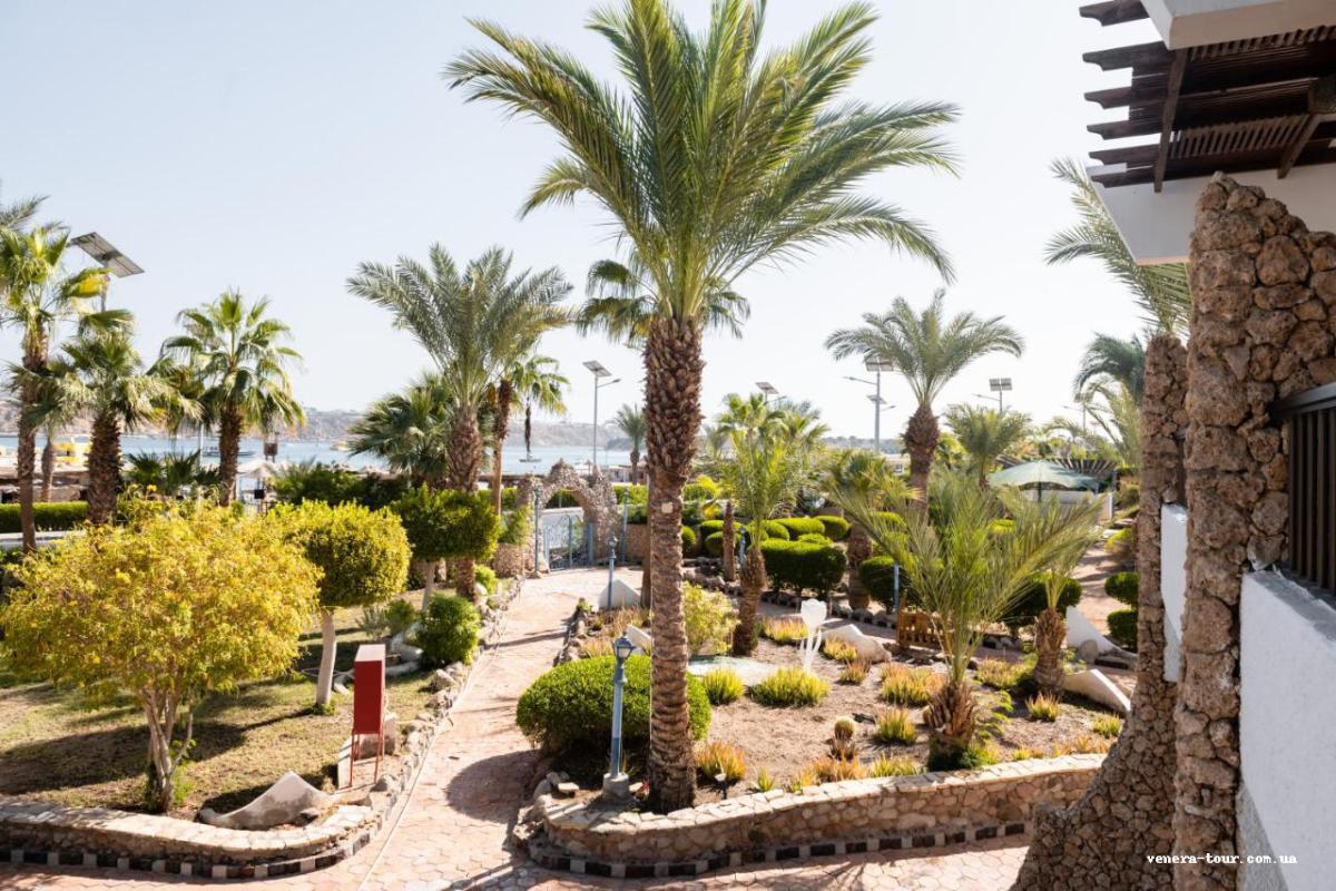 Turquoise Beach Hotel 4⭐️ інформація про готель та пошук турів в готелі Turquoise Beach Hotel 4⭐️ в Єгипеті