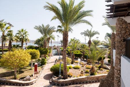 Turquoise Beach Hotel 4⭐️ інформація про готель та пошук турів в готелі Turquoise Beach Hotel 4⭐️ в Єгипеті