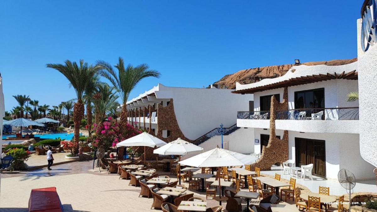 Turquoise Beach Hotel 4⭐️ інформація про готель та пошук турів в готелі Turquoise Beach Hotel 4⭐️ в Єгипеті