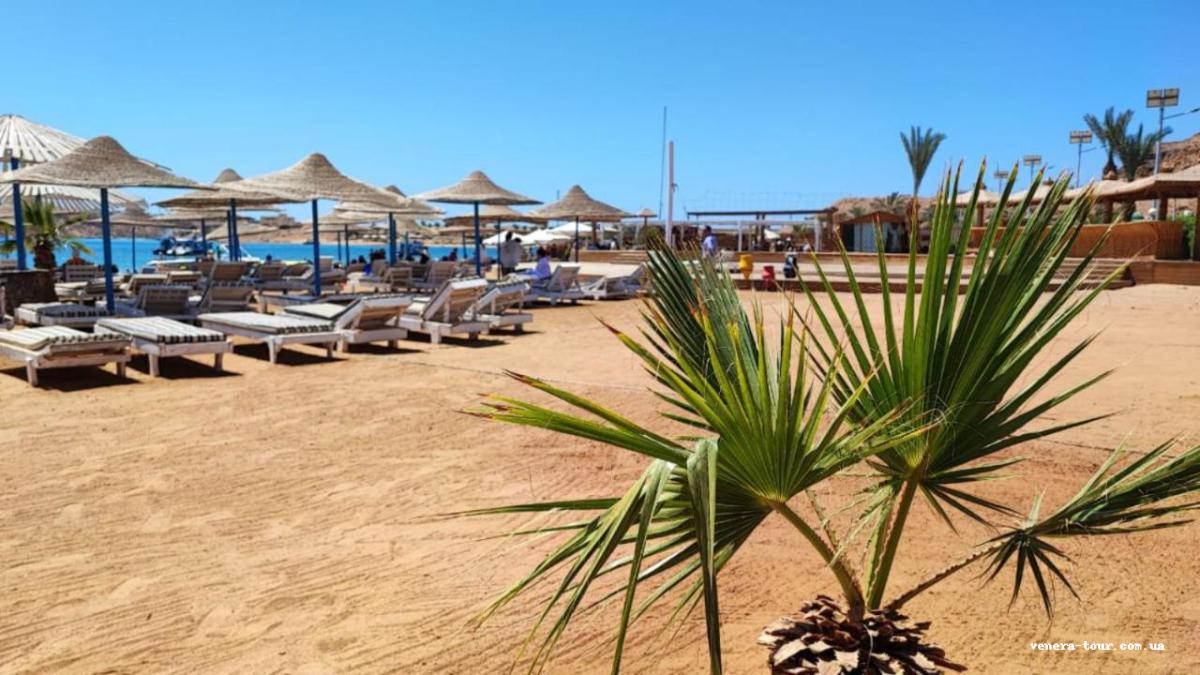 Turquoise Beach Hotel 4⭐️ інформація про готель та пошук турів в готелі Turquoise Beach Hotel 4⭐️ в Єгипеті