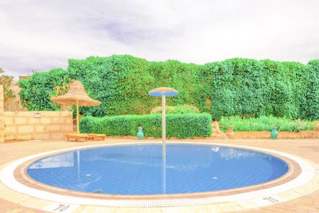 Parrotel Aqua Park Resort 4⭐️ інформація про готель та пошук турів в готелі Parrotel Aqua Park Resort 4⭐️ в Єгипеті