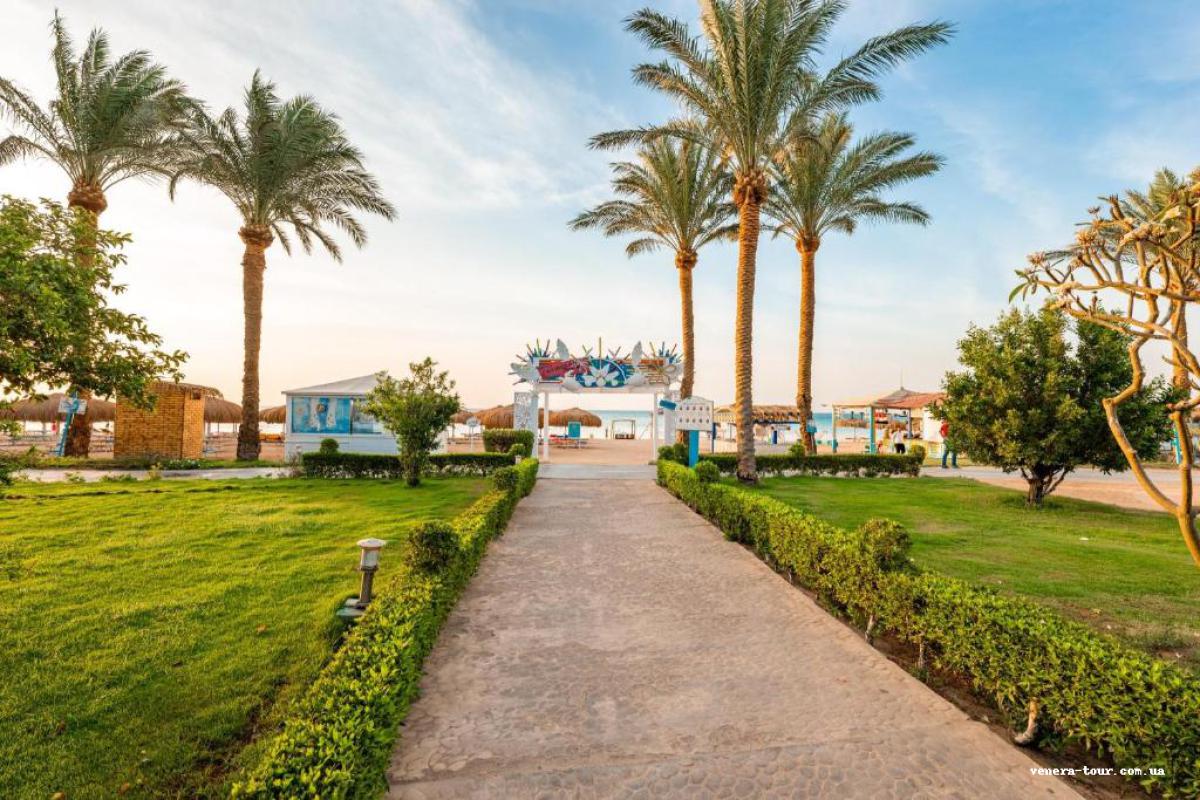 Caribbean World Resort Soma Bay 5⭐️ інформація про готель та пошук турів в готелі Caribbean World Resort Soma Bay 5⭐️ в Єгипеті