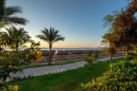 Caribbean World Resort Soma Bay 5⭐️ інформація про готель та пошук турів в готелі Caribbean World Resort Soma Bay 5⭐️ в Єгипеті