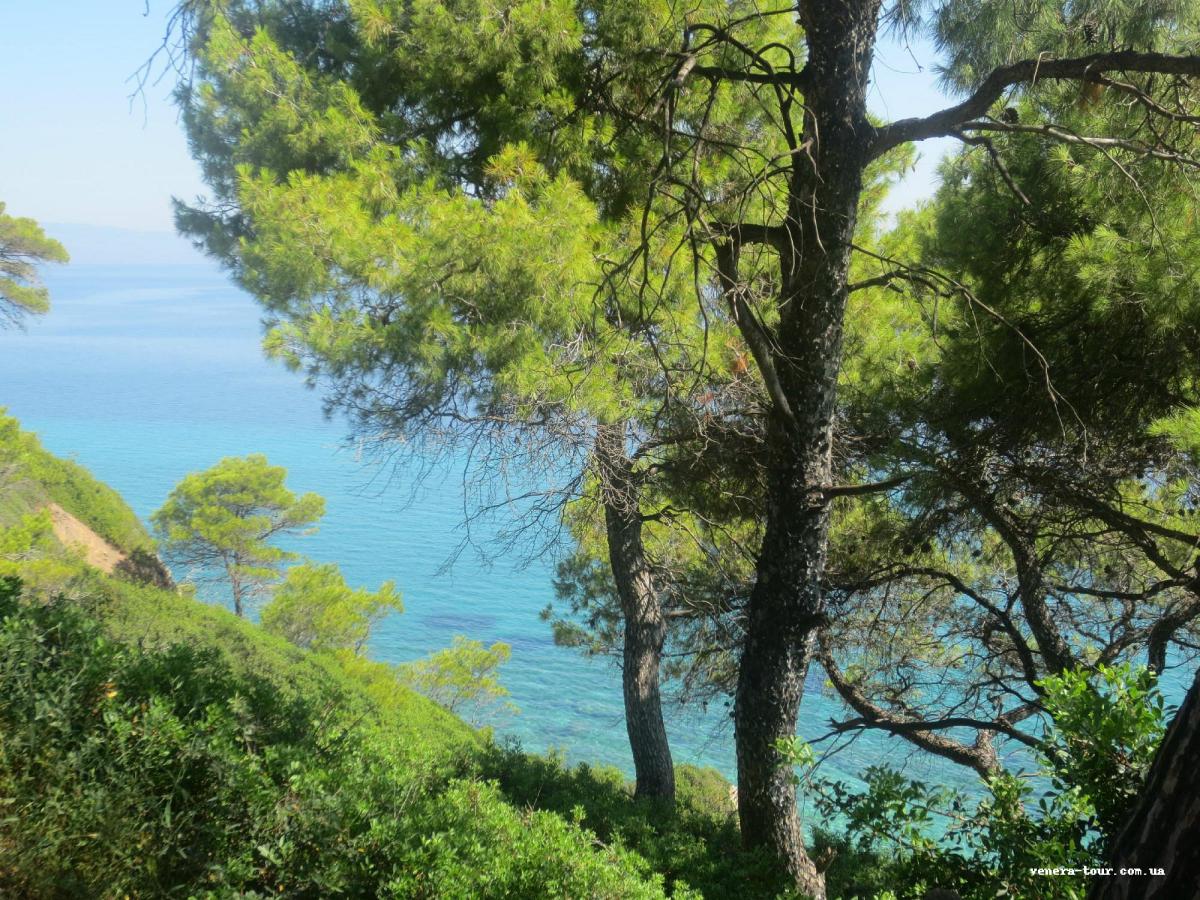 Elinotel Polis Hotel 3⭐️ інформація про готель та пошук турів в готелі Elinotel Polis Hotel 3⭐️ в Греції