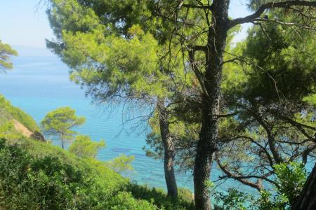 Elinotel Polis Hotel 3⭐️ інформація про готель та пошук турів в готелі Elinotel Polis Hotel 3⭐️ в Греції