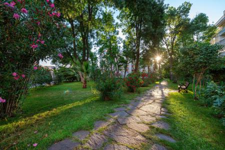 Riva Sunny Beach 3⭐️ інформація про готель та пошук турів в готелі Riva Sunny Beach 3⭐️ в Болгарії