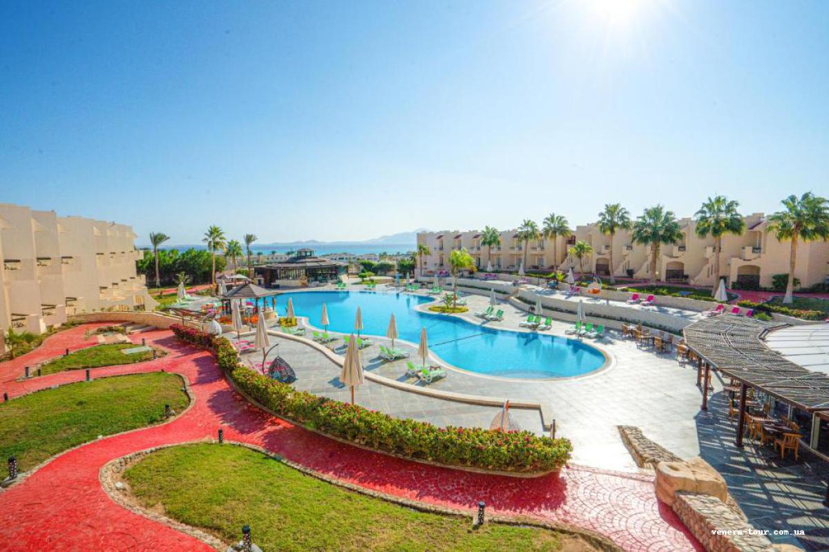 Ivy Cyrene Sharm Hotel (13+) 4⭐️ інформація про готель та пошук турів в готелі Ivy Cyrene Sharm Hotel (13+) 4⭐️ в Єгипеті