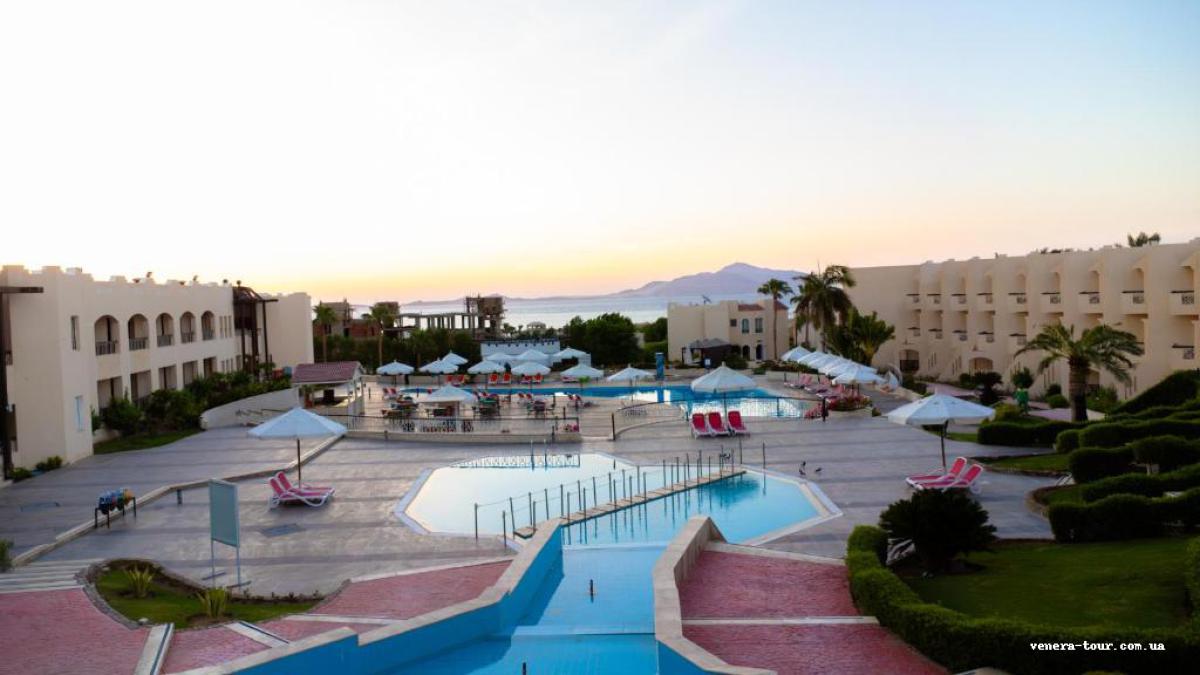 Ivy Cyrene Sharm Hotel (13+) 4⭐️ інформація про готель та пошук турів в готелі Ivy Cyrene Sharm Hotel (13+) 4⭐️ в Єгипеті