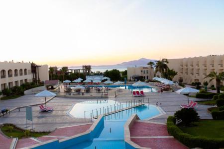 Ivy Cyrene Sharm Hotel (13+) 4⭐️ інформація про готель та пошук турів в готелі Ivy Cyrene Sharm Hotel (13+) 4⭐️ в Єгипеті