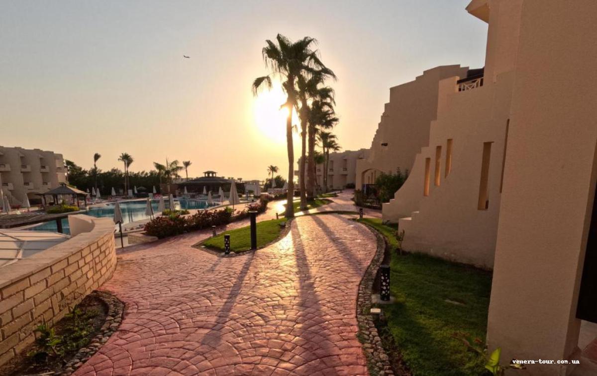 Ivy Cyrene Sharm Hotel (13+) 4⭐️ інформація про готель та пошук турів в готелі Ivy Cyrene Sharm Hotel (13+) 4⭐️ в Єгипеті