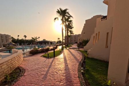 Ivy Cyrene Sharm Hotel (13+) 4⭐️ інформація про готель та пошук турів в готелі Ivy Cyrene Sharm Hotel (13+) 4⭐️ в Єгипеті