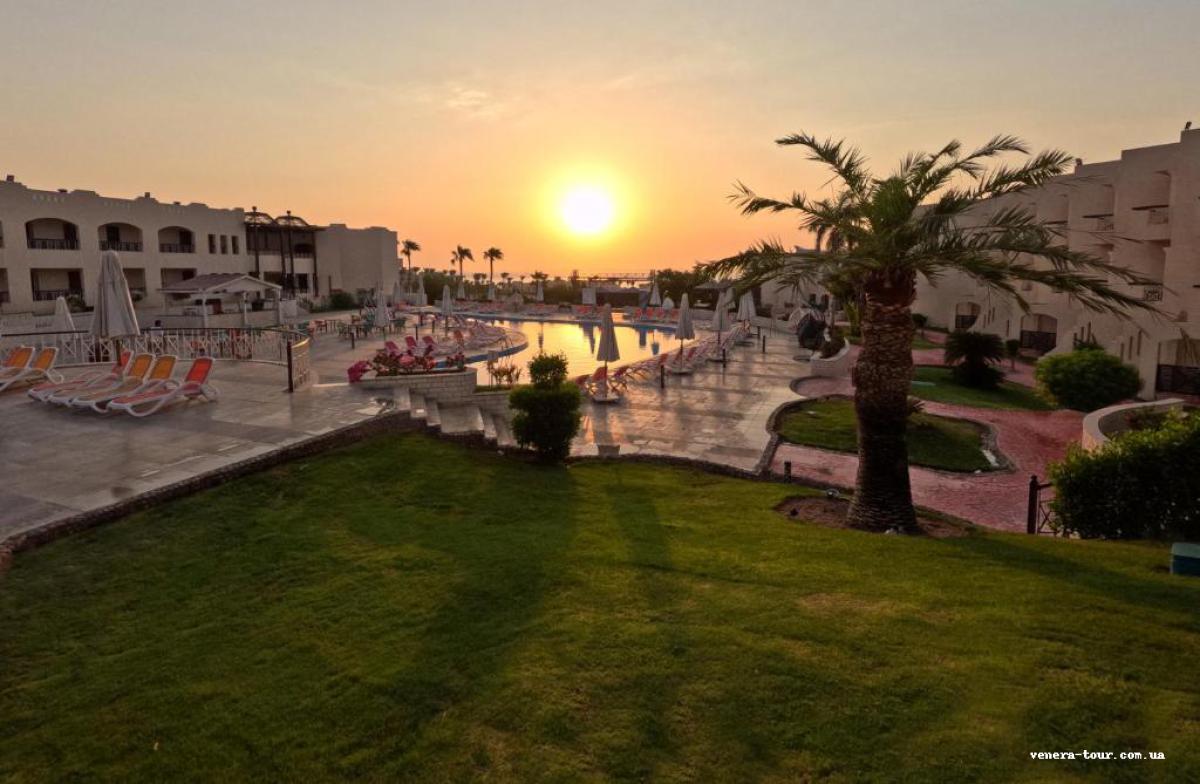 Ivy Cyrene Sharm Hotel (13+) 4⭐️ інформація про готель та пошук турів в готелі Ivy Cyrene Sharm Hotel (13+) 4⭐️ в Єгипеті