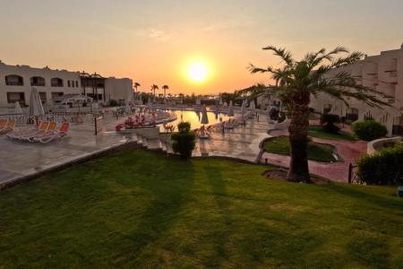 Ivy Cyrene Sharm Hotel (13+) 4⭐️ інформація про готель та пошук турів в готелі Ivy Cyrene Sharm Hotel (13+) 4⭐️ в Єгипеті