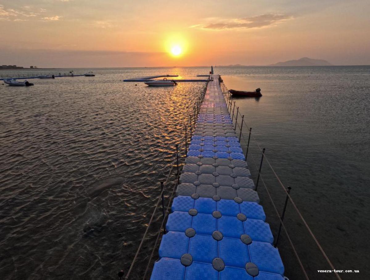 Ivy Cyrene Sharm Hotel (13+) 4⭐️ інформація про готель та пошук турів в готелі Ivy Cyrene Sharm Hotel (13+) 4⭐️ в Єгипеті