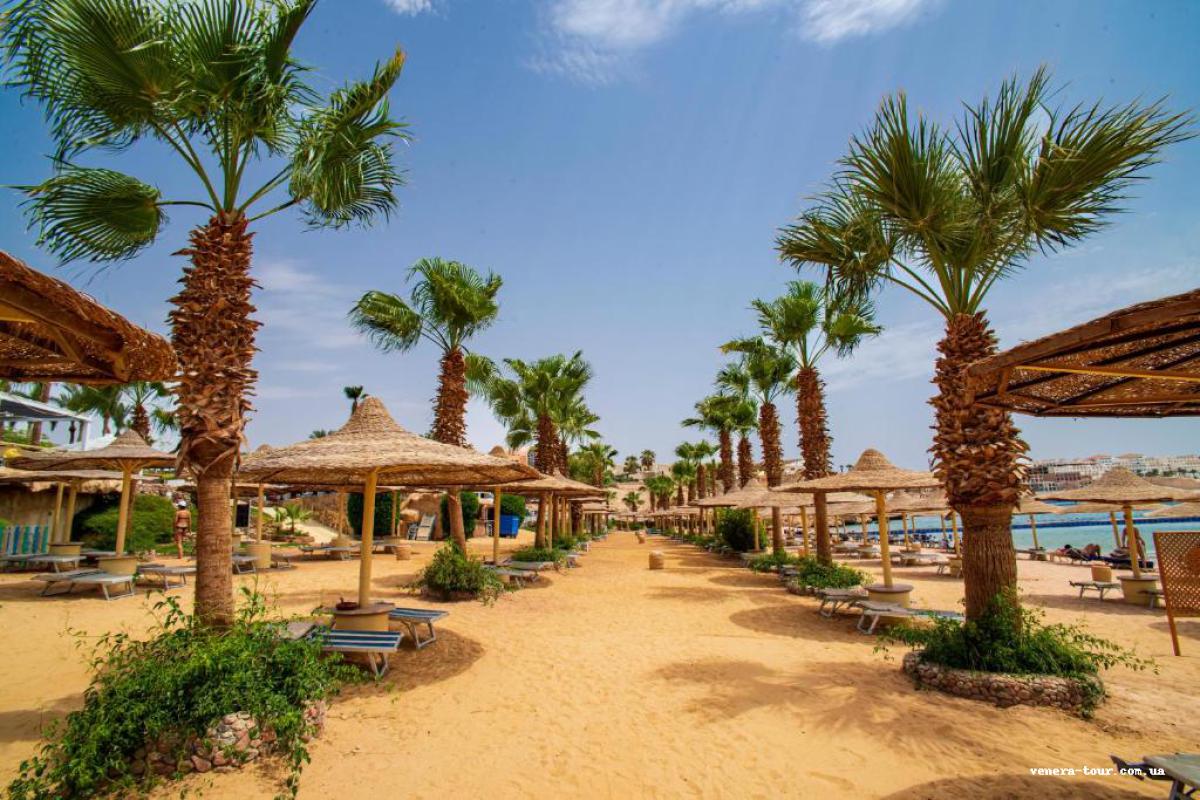 Sierra Sharm El Sheikh 5⭐️ інформація про готель та пошук турів в готелі Sierra Sharm El Sheikh 5⭐️ в Єгипеті