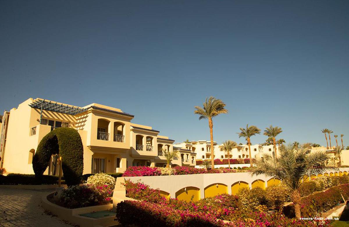Grand Oasis Resort 4⭐️ інформація про готель та пошук турів в готелі Grand Oasis Resort 4⭐️ в Єгипеті