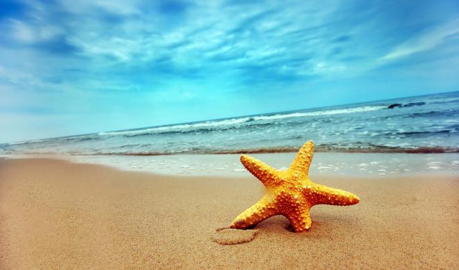 Гарячі тури в Болгарію❤️ 2026 відпочинок на морі все включено з Венера-Тур