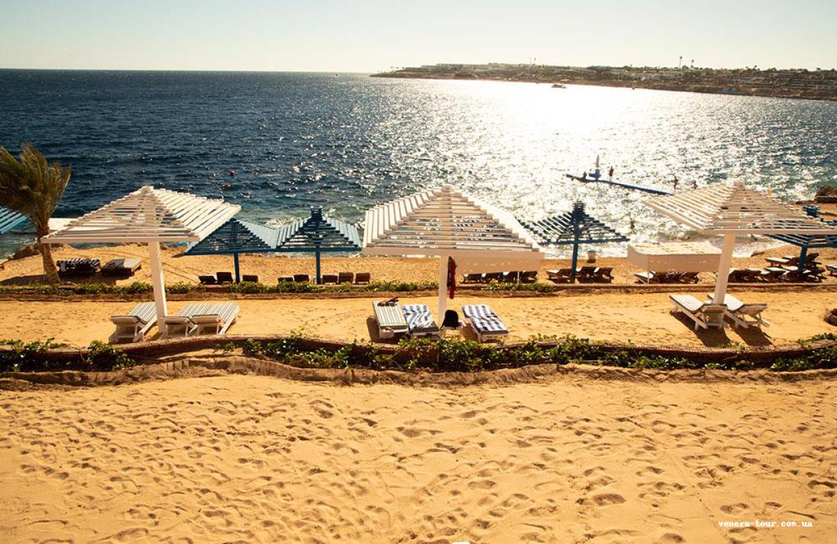 Grand Oasis Resort 4⭐️ інформація про готель та пошук турів в готелі Grand Oasis Resort 4⭐️ в Єгипеті