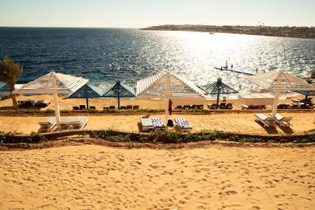 Grand Oasis Resort 4⭐️ інформація про готель та пошук турів в готелі Grand Oasis Resort 4⭐️ в Єгипеті